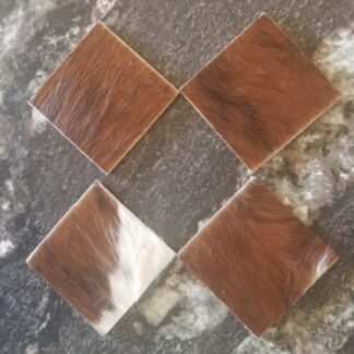 Brindle & White Coasters (Set Of 4)